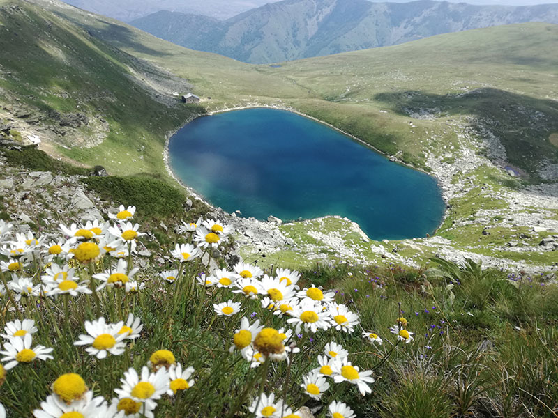 Big Lake in Pelister National Park